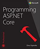 Programming ASP.NET Core, Programming ASP.NET Core (Developer Reference)